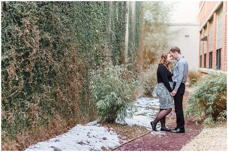 Lion's Bridge Engagement Photos