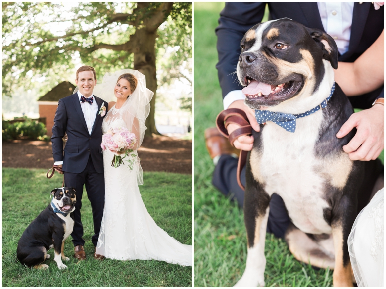 Colorful Pastel Wedding Palette